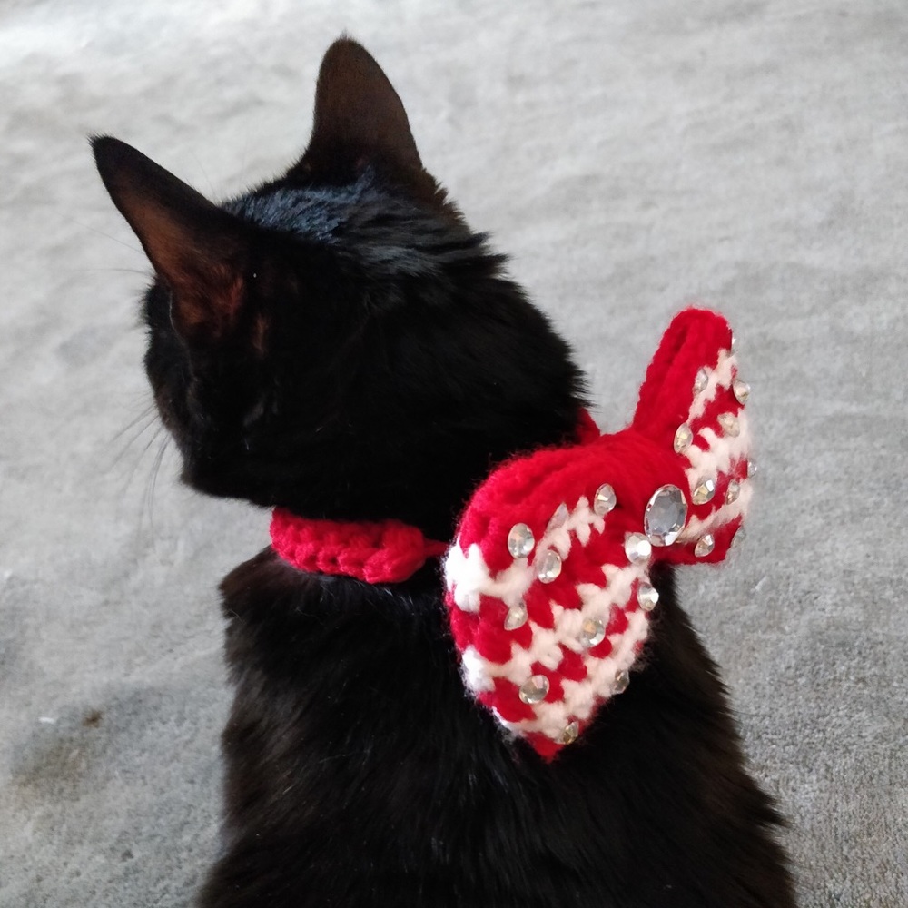 ⭐️ Bowties For Dogs and Cats - Picture 5 of 6
